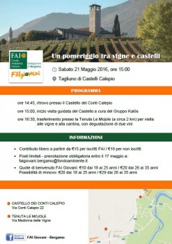 Un pomeriggio tra vigne e castelli