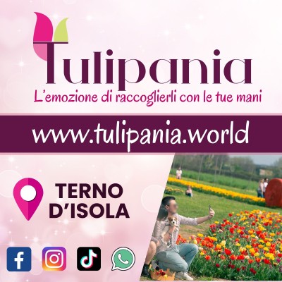 locandina